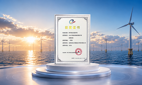 海上风电获奖.png